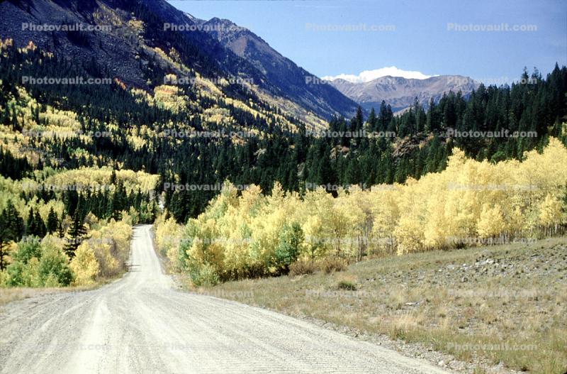 Dirt Road, Road, Highway, unpaved, aspen trees, autumn, fall colors