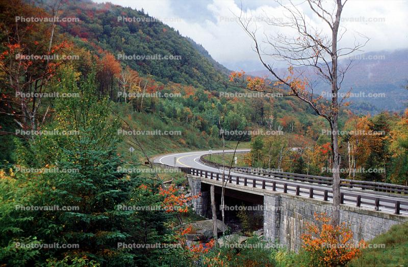 Road, Highway, Roadway, Bucolic Scene, River, Stream, autumn