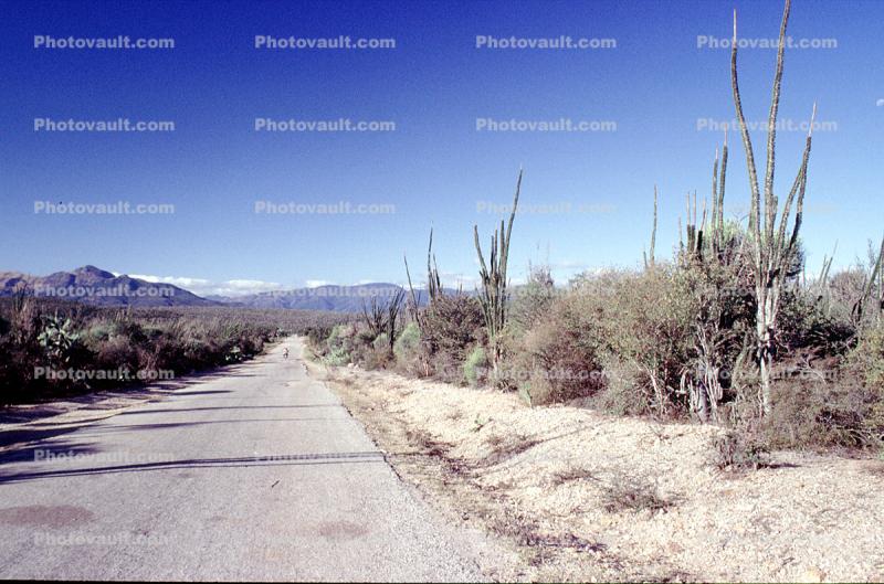 Desert Road, Highway