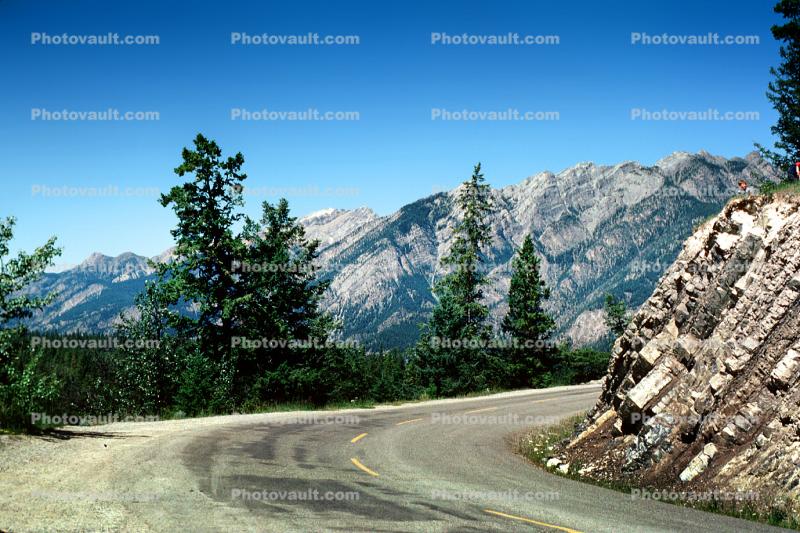 curve, Road, Highway, mountains, trees, Jaspar, Canada