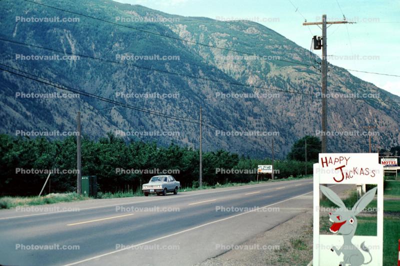 Happy Jackass, Road, Highway, Williams Lake, British Columbia, Canada, September 1983, 1980s
