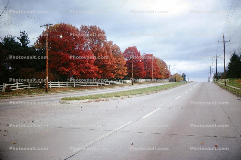 Highway, Fall Colors, West Chester Pike, Newtown Square, Pennsylvania, autumn