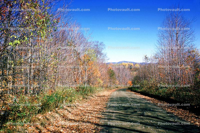 Fall Colors, Bare Trees, Dirt Road, unpaved, October 1973, autumn, 1970s