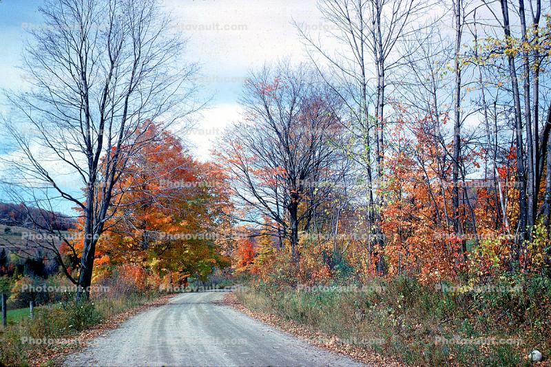 Fall Colors, Bare Trees, Dirt Road, unpaved, autumn, October 1973, 1970s
