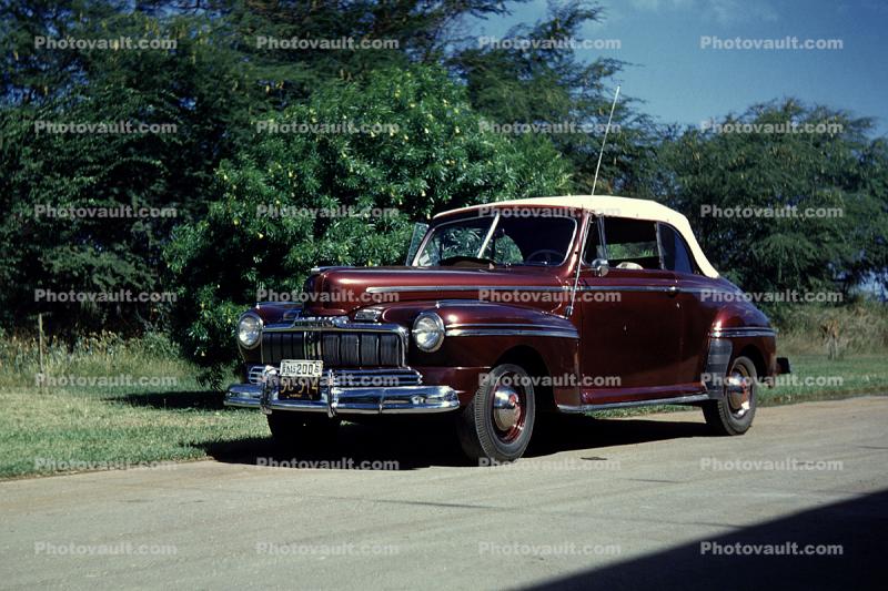 Ford Mercury, cabriolet, convertible, automobile, car, vehicle, coupe, trees, 1946, 1940s
