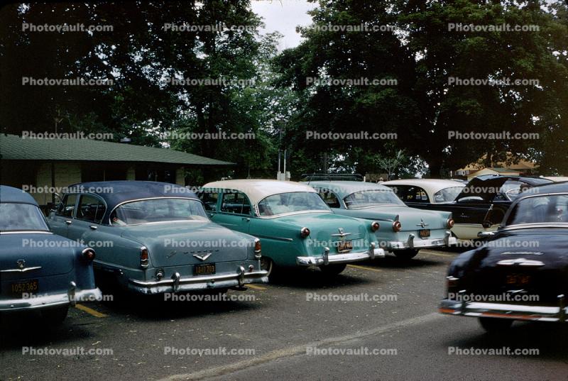 Ford, Desoto, Chevrolet, cars, automobile, parking lot, 1950s