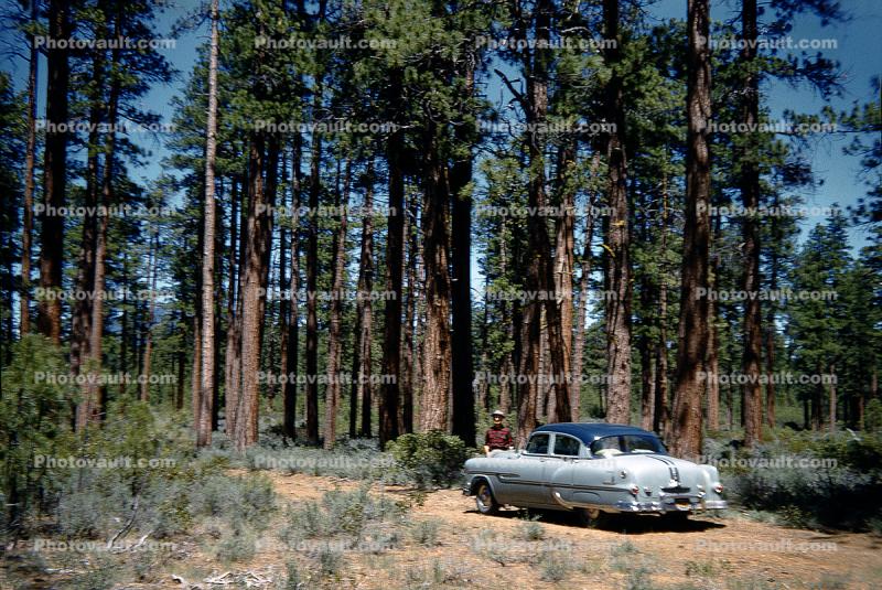 1953 Pontiac Star Chief, four-door sedan, hardtop, Car, trees, forest, 1957, 1950s