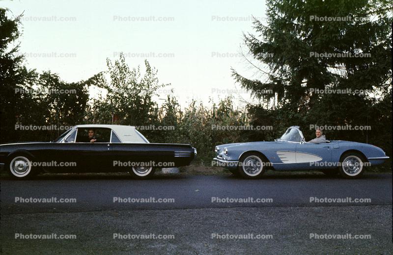 Chevy Corvette, Ford Thunderbird, car, automobile, 1950s
