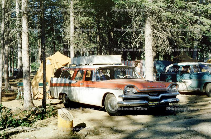 1958 Dodge Custom Sierra, station wagon, car, bumper, tent, 1950s