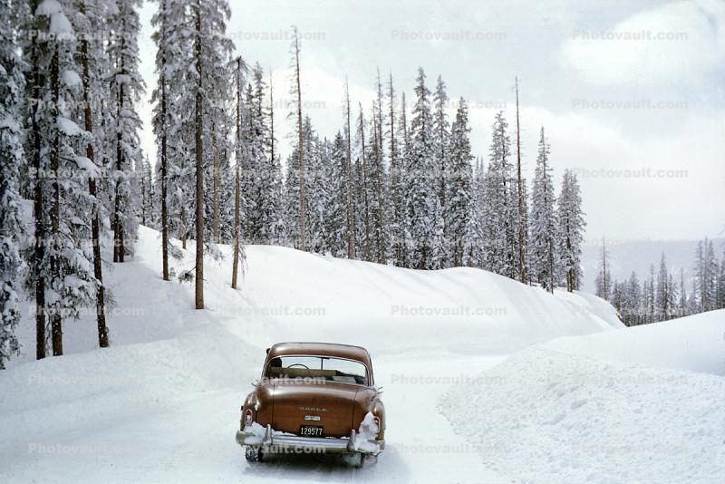 Dodge in the Snow, Car, Road, Trees, Forest, Winter, 1950s