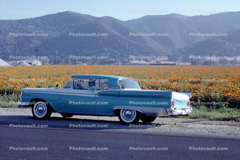 1959 Ford Skyliner 500, Hills, Mountains, flowers, 1950s