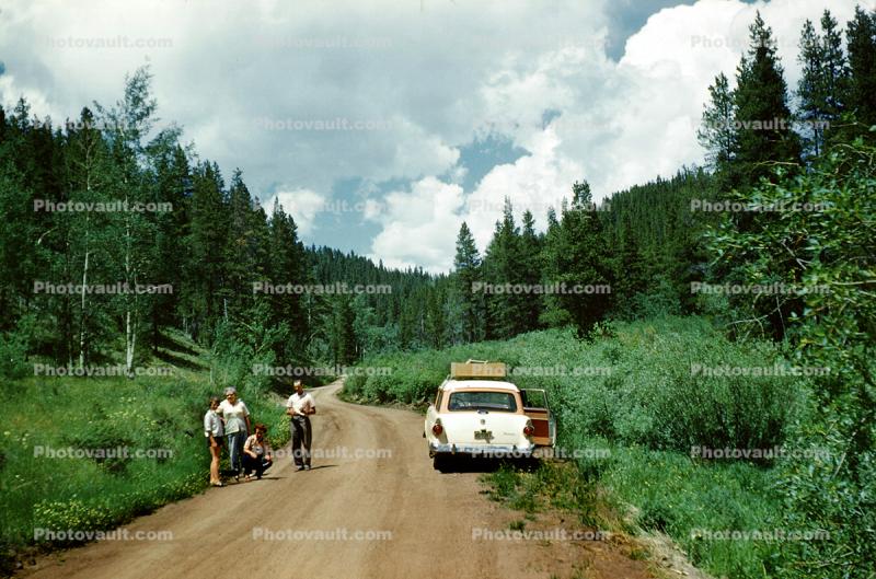 Ford Station Wagon, Dirt Road, Forest, 1950s
