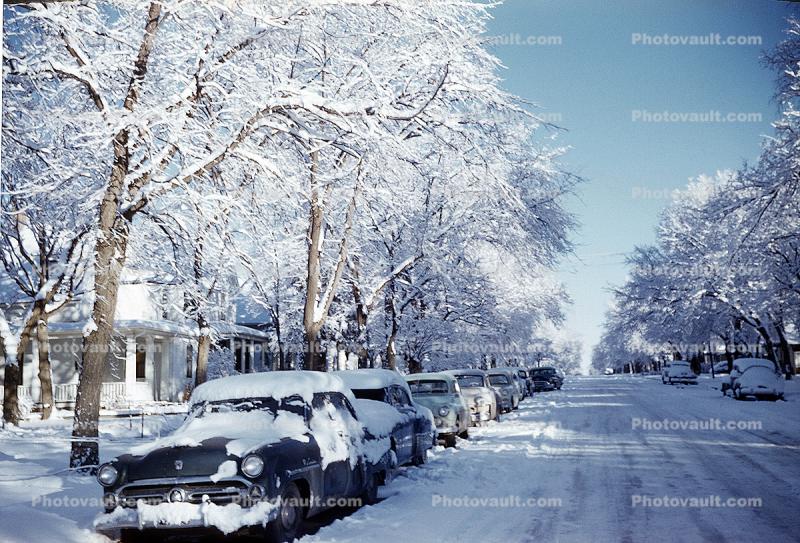 Ford, Ice, Cold, Winter Trees, road, street, parked cars, 1950s