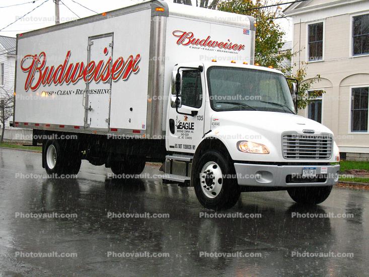 Freightliner, Budweiser, Rainy Day, Semi-trailer truck, Semi