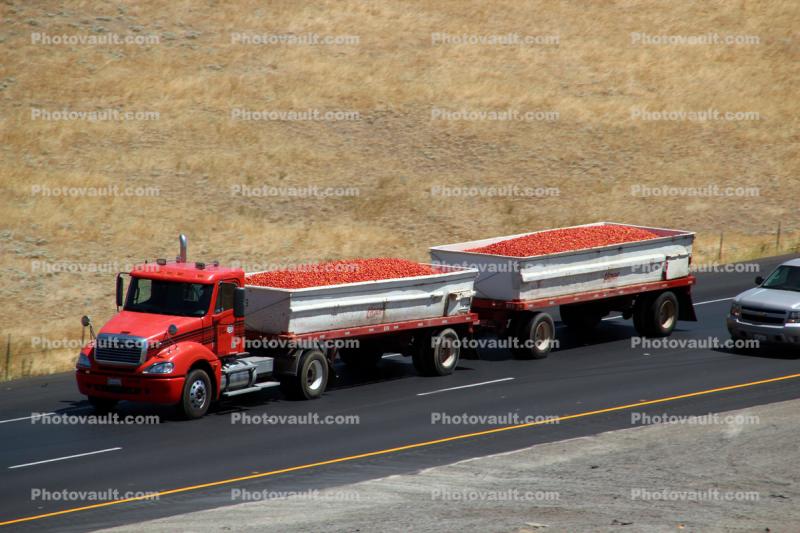 Tomato Truck, semi, Interstate Highway I-5, near Newman