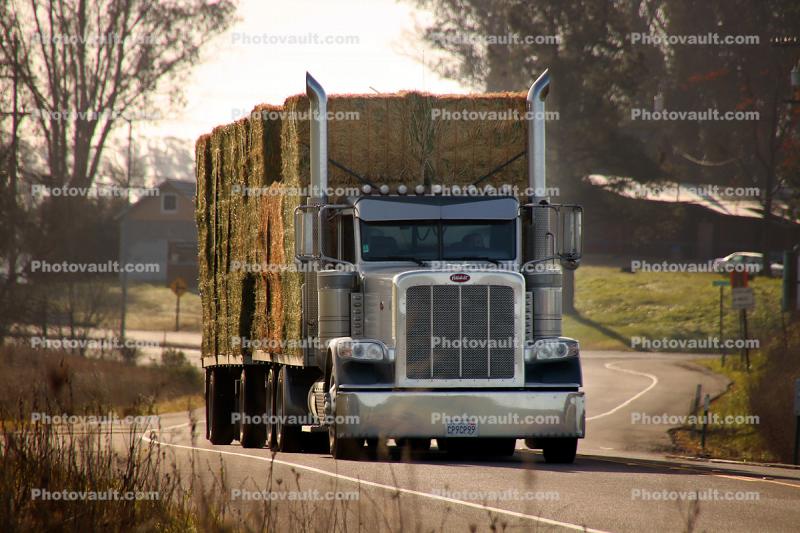 Peterbilt Hay Truck, Valley Ford Road, Sonoma County