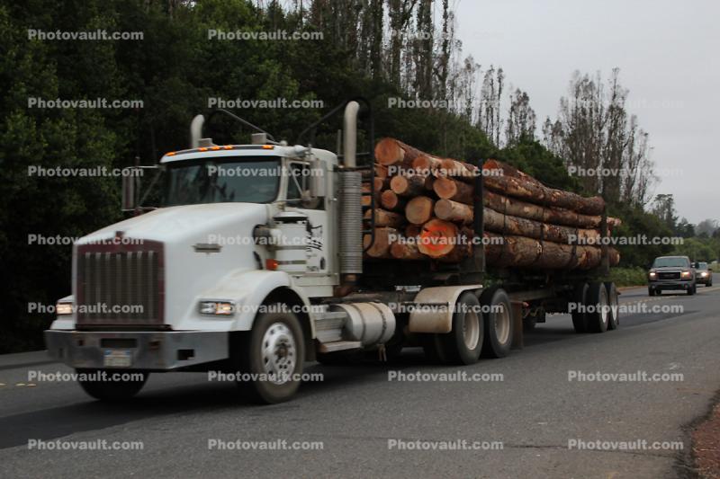 Kenworth Semi Cab Logging Truck