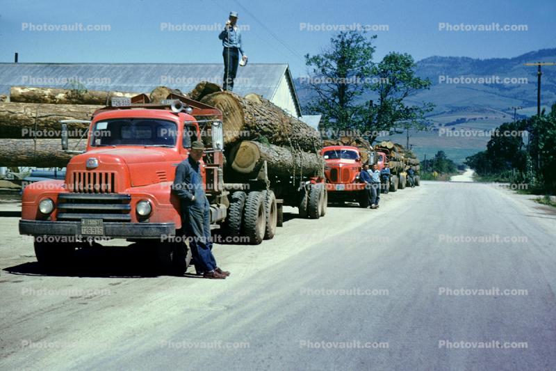 Logging Trucks, road, highway, men, 1950s