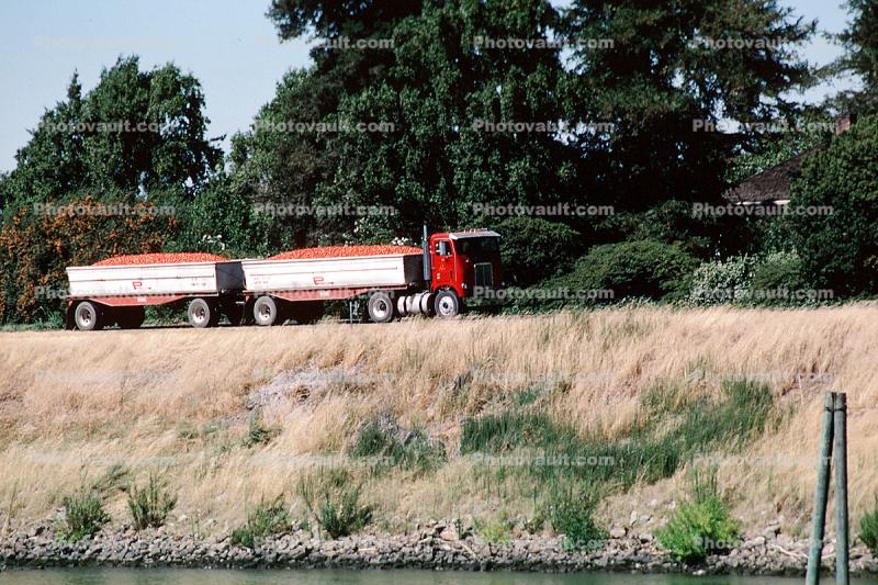 Panella, International, Tomato Truck, Sacramento River Delta, farm products bulk carrier, tomatoes