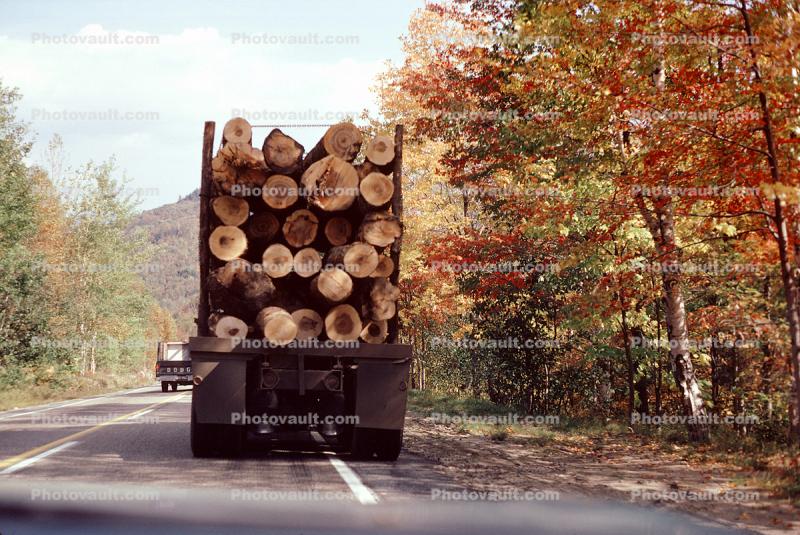 Logging Truck, Fall Colors, trees
