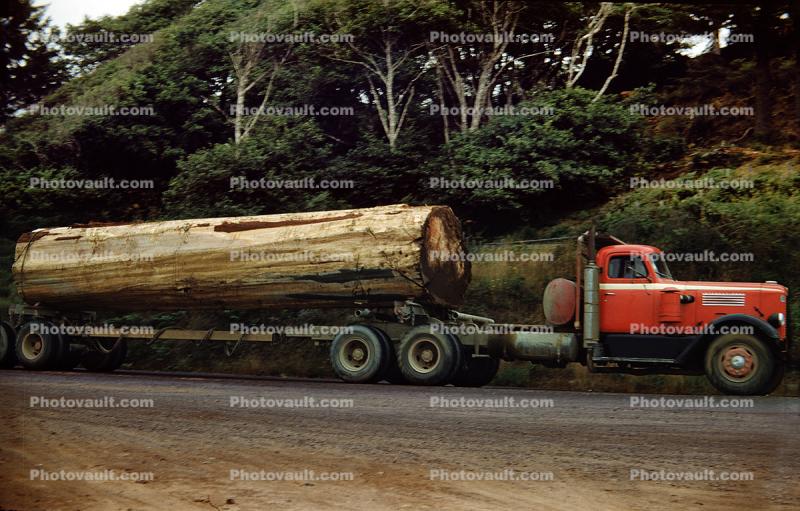 Logging Truck, Semi Trailer, 1950s