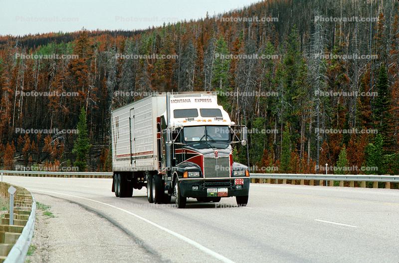 Kenworth, Semi-trailer truck, autumn, Semi