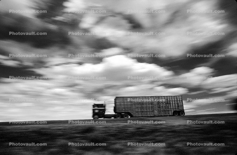 cattle truck, west central Wyoming, Highway 191, Semi-trailer truck, Semi