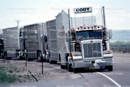 Peterbilt, cattle truck, west central Wyoming, Highway 191, Semi-trailer truck, Semi