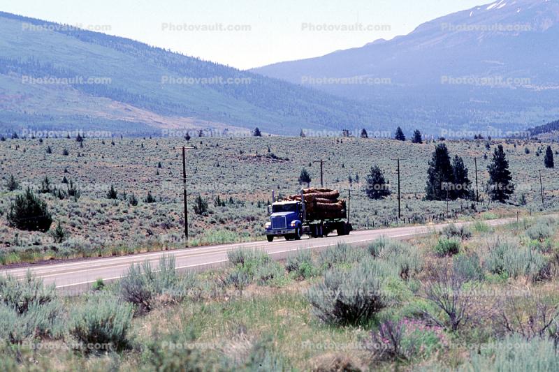 Logging Truck, Shasta County