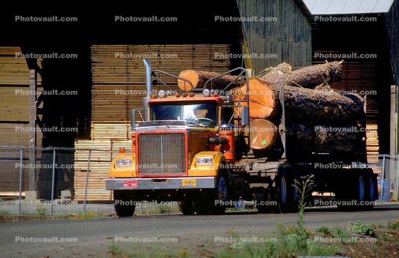 Logging Truck, Trees