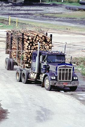 Logging Truck, Trees, Kenworth, Semi