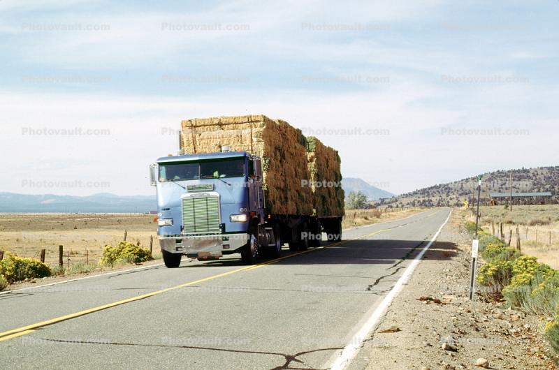 hay bale stacks, Loyalton, Freightliner, road, highway, cabover semi trailer truck