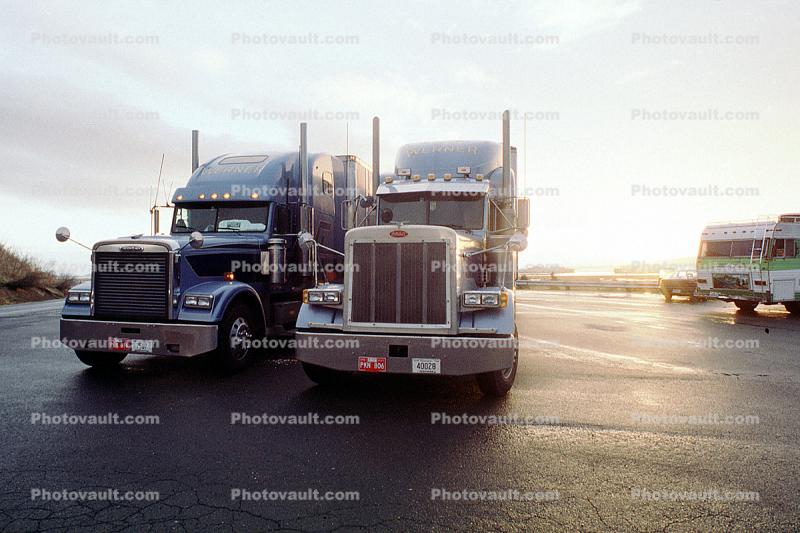 Peterbilt, Freightliner, Semi-trailer truck, Semi