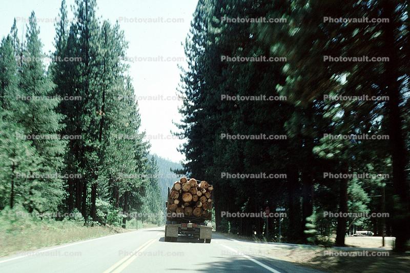 Logging Truck, Chester , Chester, Plumas County