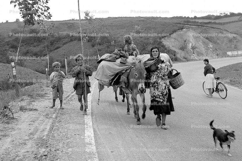 Donkey, Mule, Dog, Woman, Boys, Basket, hills, road, roadway, street