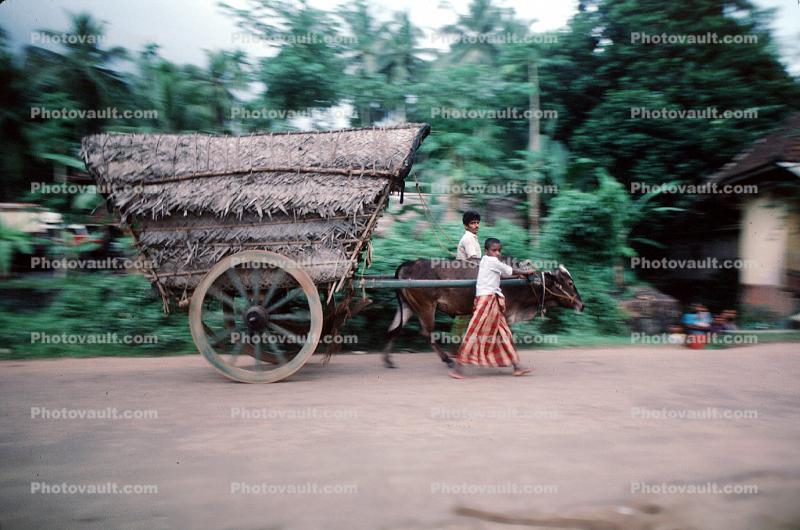 Wagon Wheel, Thatched Cart, Sod
