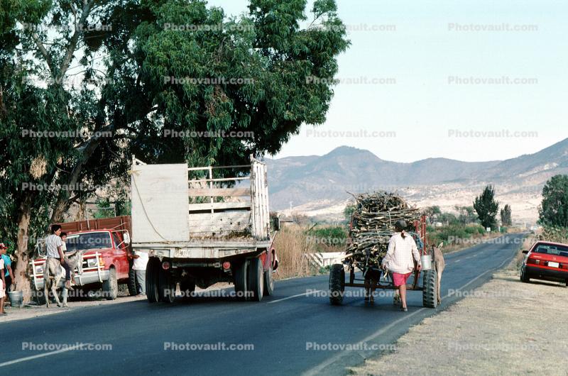 Highway, road, roadway, Oaxaca, Mexico