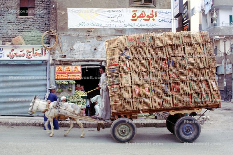 Overloaded Cart, Luxor, Egypt