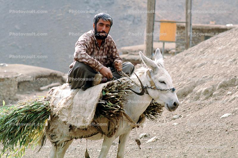 Man, Donkey, Dougardare, Iran