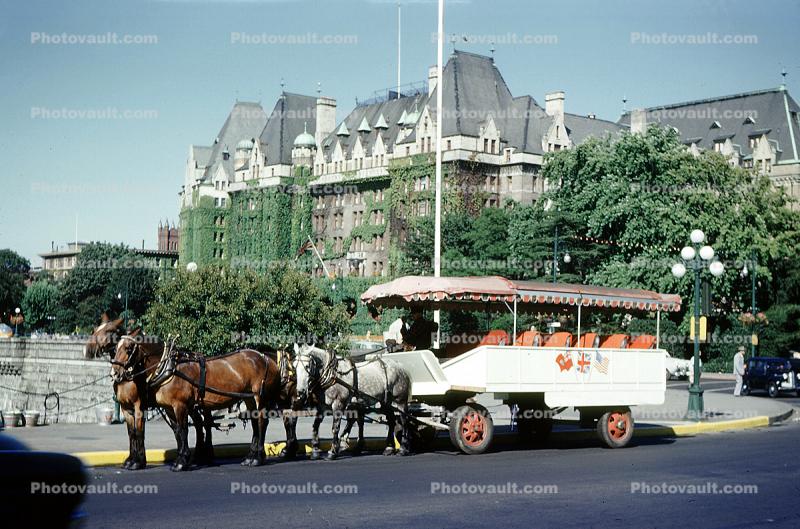 Horse Drawn Tourist Carriage, Canada, 1950s