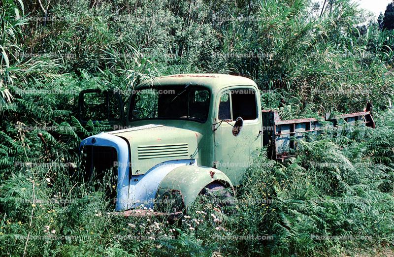 Truck, Othoni Island