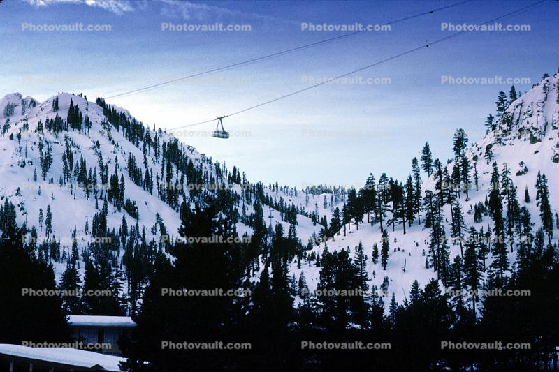 Tramway Gondola over Palisades Tahoe, Snow, Mountains, Forest