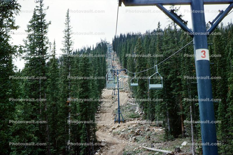 Pylon 3, Chairlift, Summertime, Summer, Forest, TreesChairlift, Colorado, Summertime, Summer, Forest, Trees, September 1963