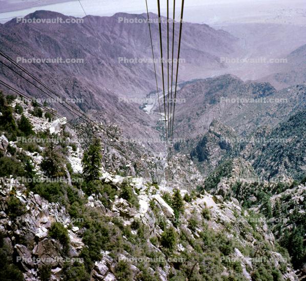 Palm Springs Aerial Tramway, valley, trees