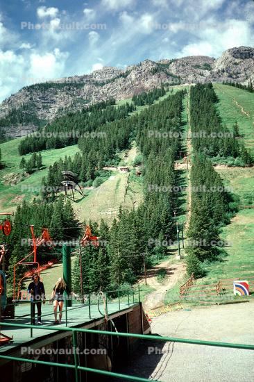 Forest, mountain, Alberta, July 5 1975