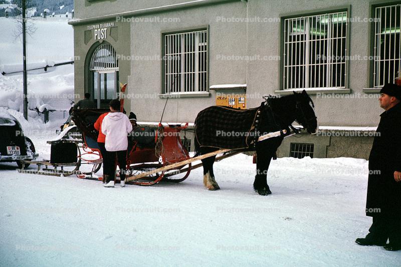 Horse with a sled, cold, ice, Grindelwald, 1950s