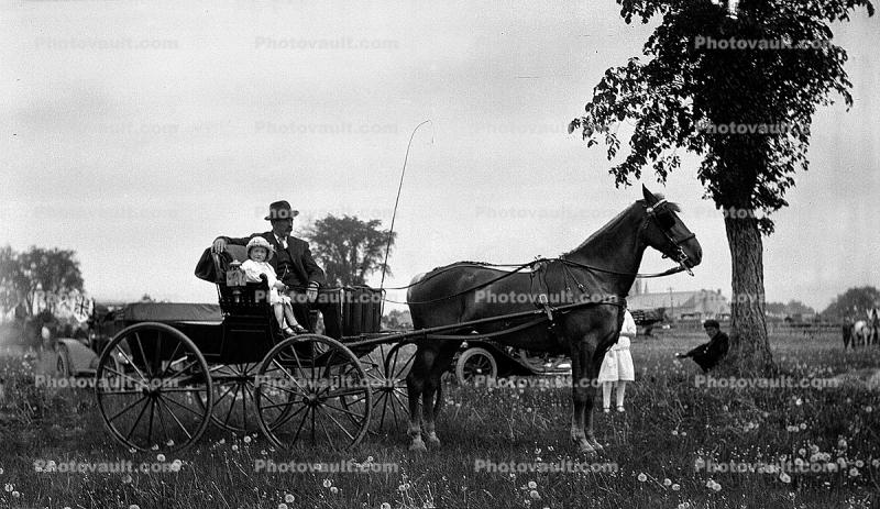 Horse and Buggy, 1890's