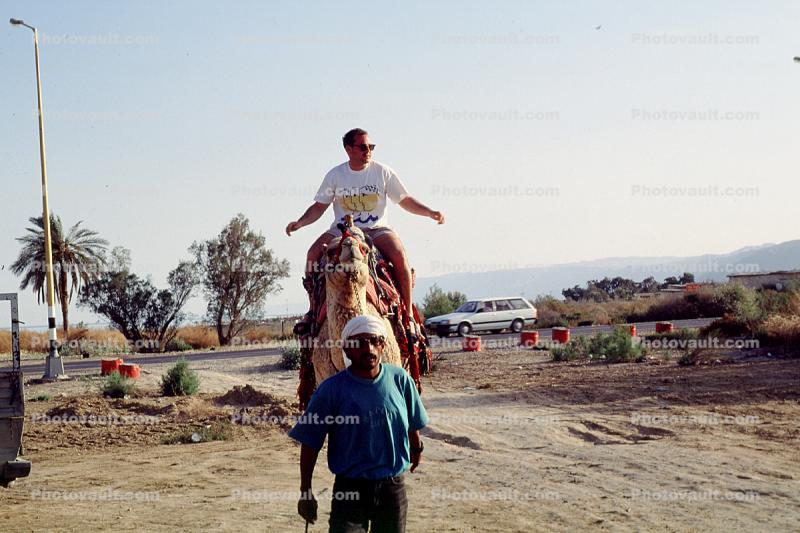 Riding a Camel, Lido, Dead Sea