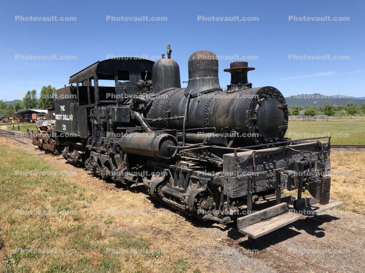 Shay Steam Engine, Geared Locomotive