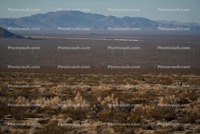 Union Pacific Freight Train, Mohave Desert, 16 January 2020